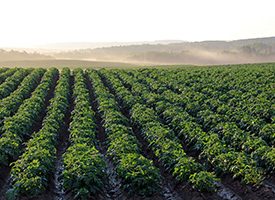 Umweltschutz auch bei dem Verpacken